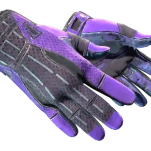 ★ Sport Gloves | Pandora's Box (Well-Worn)
