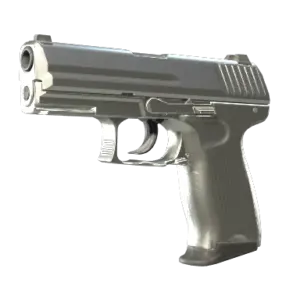 P2000 | Silver (Minimal Wear)