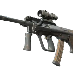 Souvenir AUG | Spalted Wood (Battle-Scarred)