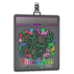 Sticker Slab | TRY (Holo) | Budapest 2025
