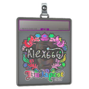 Sticker Slab | alex666 (Holo) | Budapest 2025